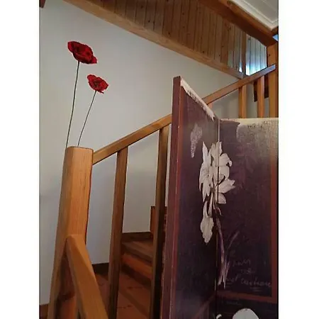 Holiday home Pia Da Ovelha House Reguengo do Fetal